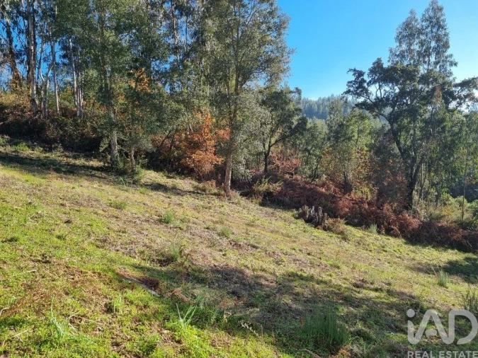 Terreno para Venda em Poiares (Santo Andre) Foto 11