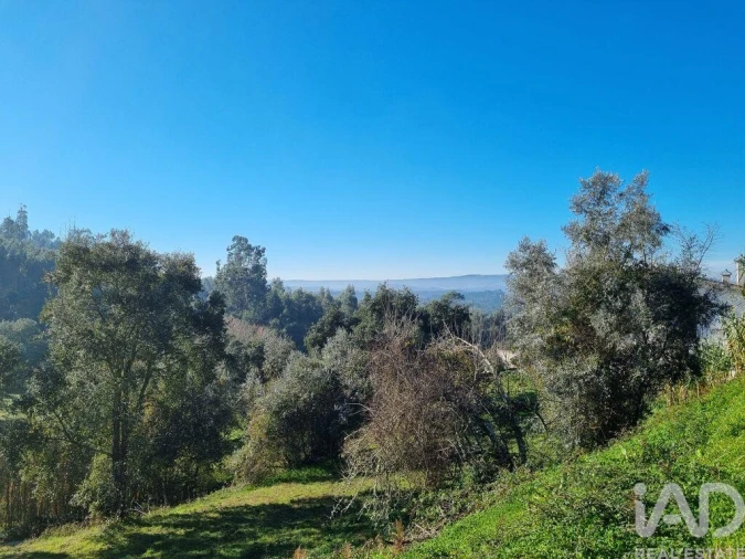 Terreno para Venda em Poiares (Santo Andre) Foto 4