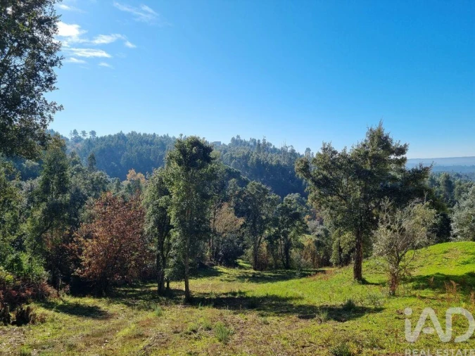 Terreno para Venda em Poiares (Santo Andre) Foto 21