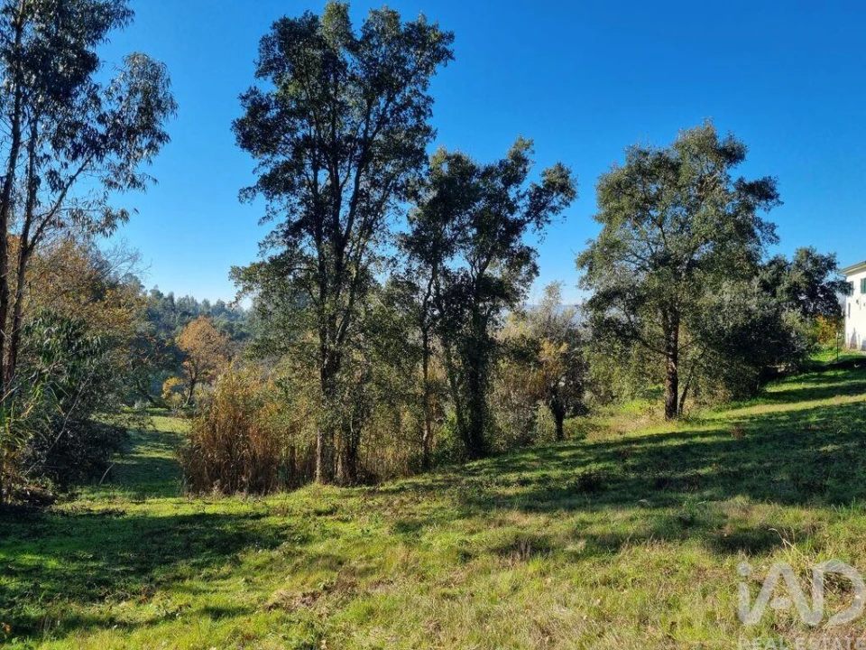 Terreno para Venda em Poiares (Santo Andre) Foto 14