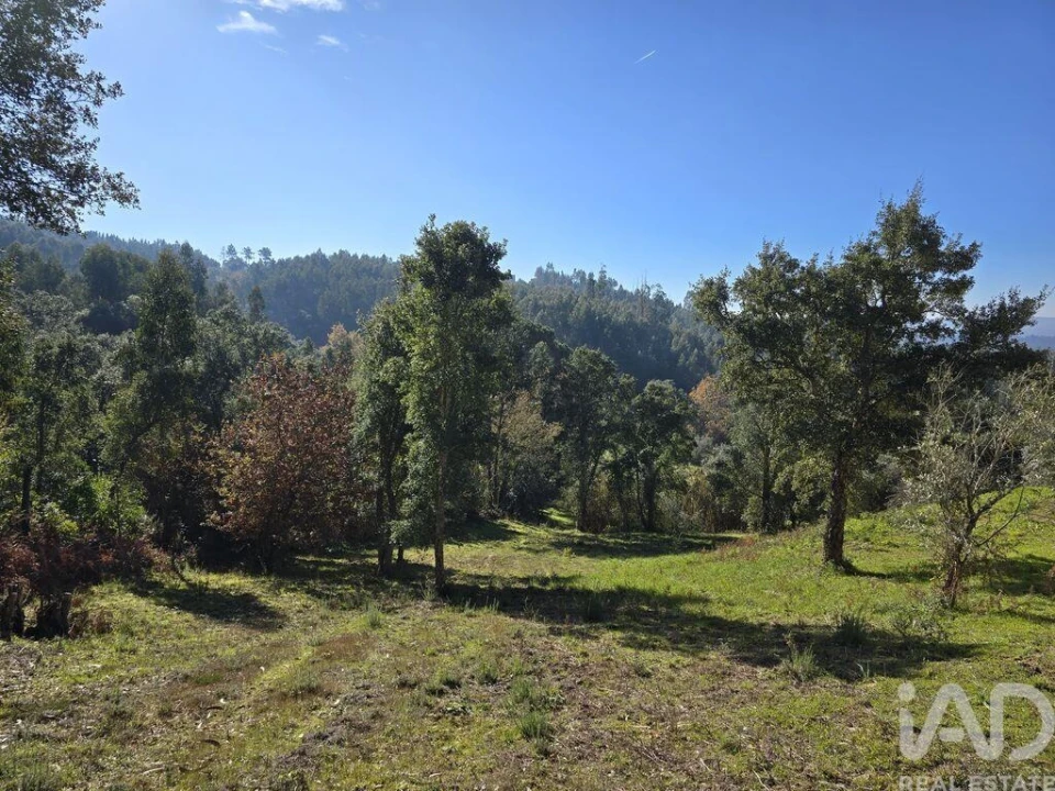 Terreno para Venda em Poiares (Santo Andre) Foto 13