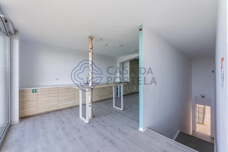 Armazém para Venda em Este (São Pedro e São Mamede) Foto 40