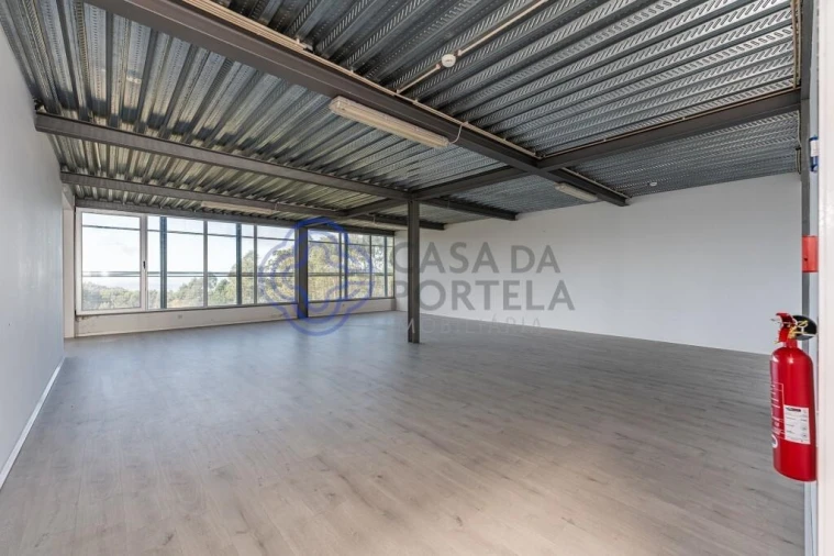 Armazém para Venda em Este (São Pedro e São Mamede) Foto 19