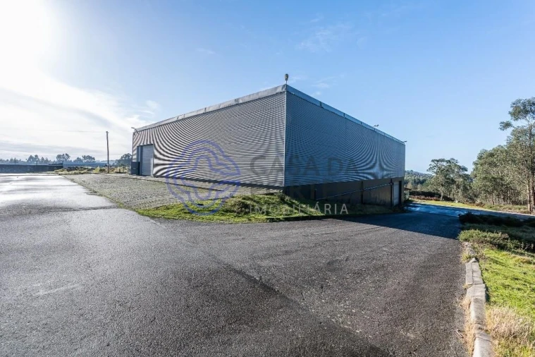 Armazém para Venda em Este (São Pedro e São Mamede) Foto 47
