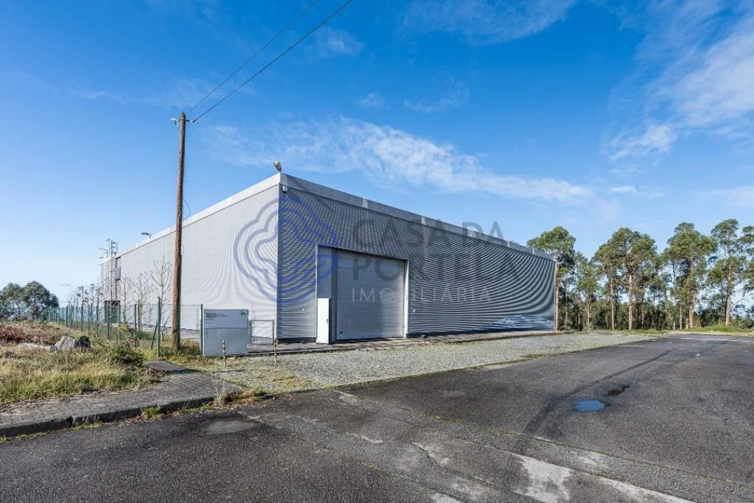 Armazém para Venda em Este (São Pedro e São Mamede) Foto 46