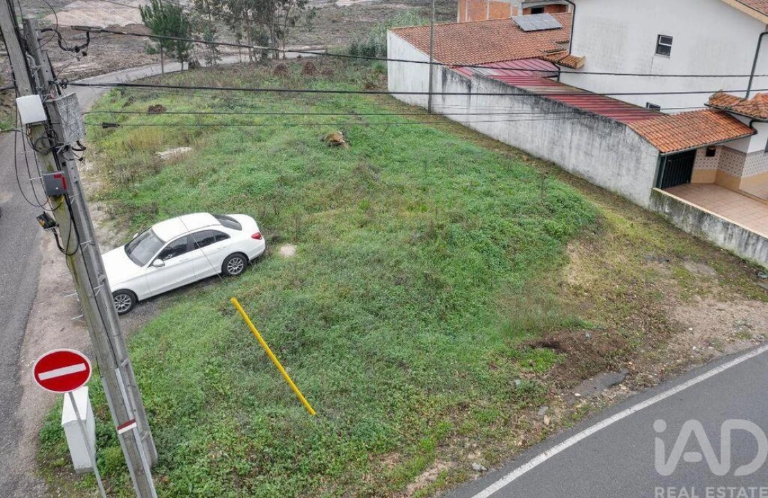Terreno para Venda em Glória e Vera Cruz Foto 6