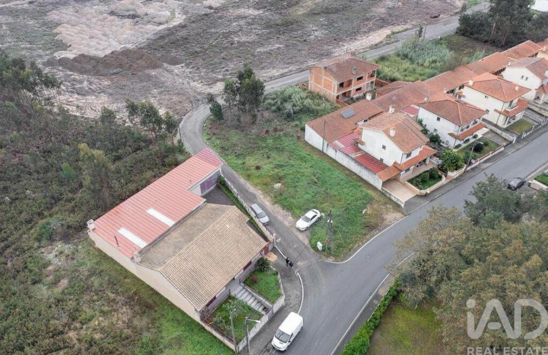 Terreno para Venda em Glória e Vera Cruz Foto 5