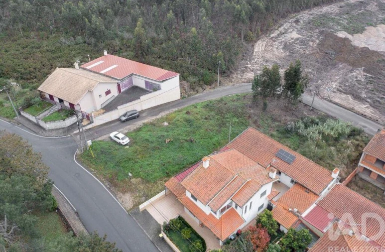 Terreno para Venda em Glória e Vera Cruz Foto 4