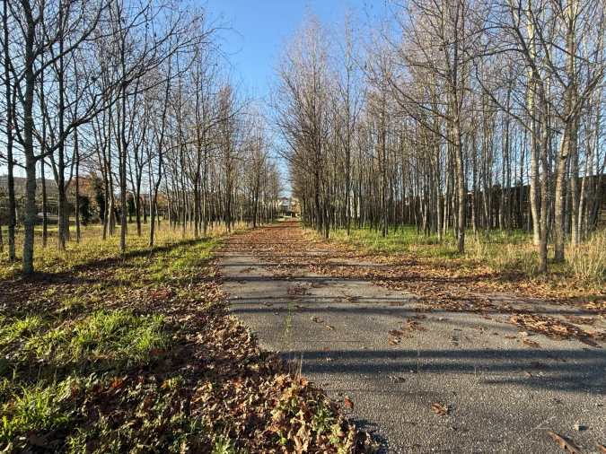 Armazém para Venda em Fermentões Foto 36