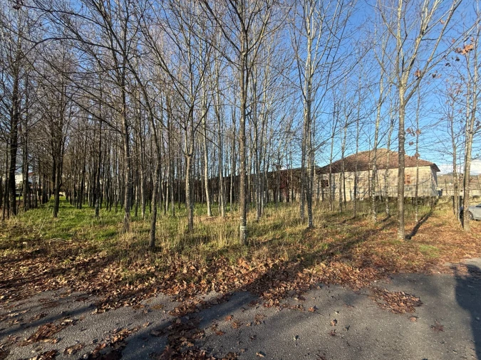 Armazém para Venda em Fermentões Foto 35