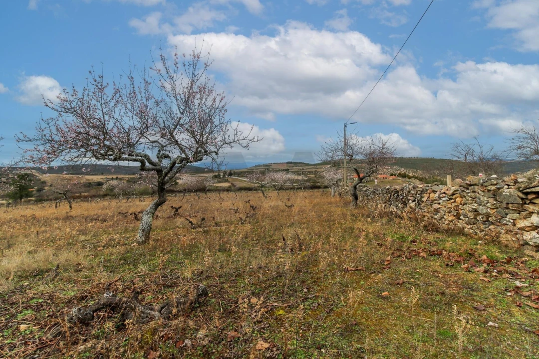Moradia T3 para Venda em Carviçais Foto 7