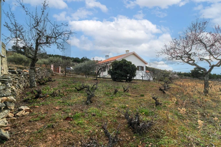 Moradia T3 para Venda em Carviçais Foto 15