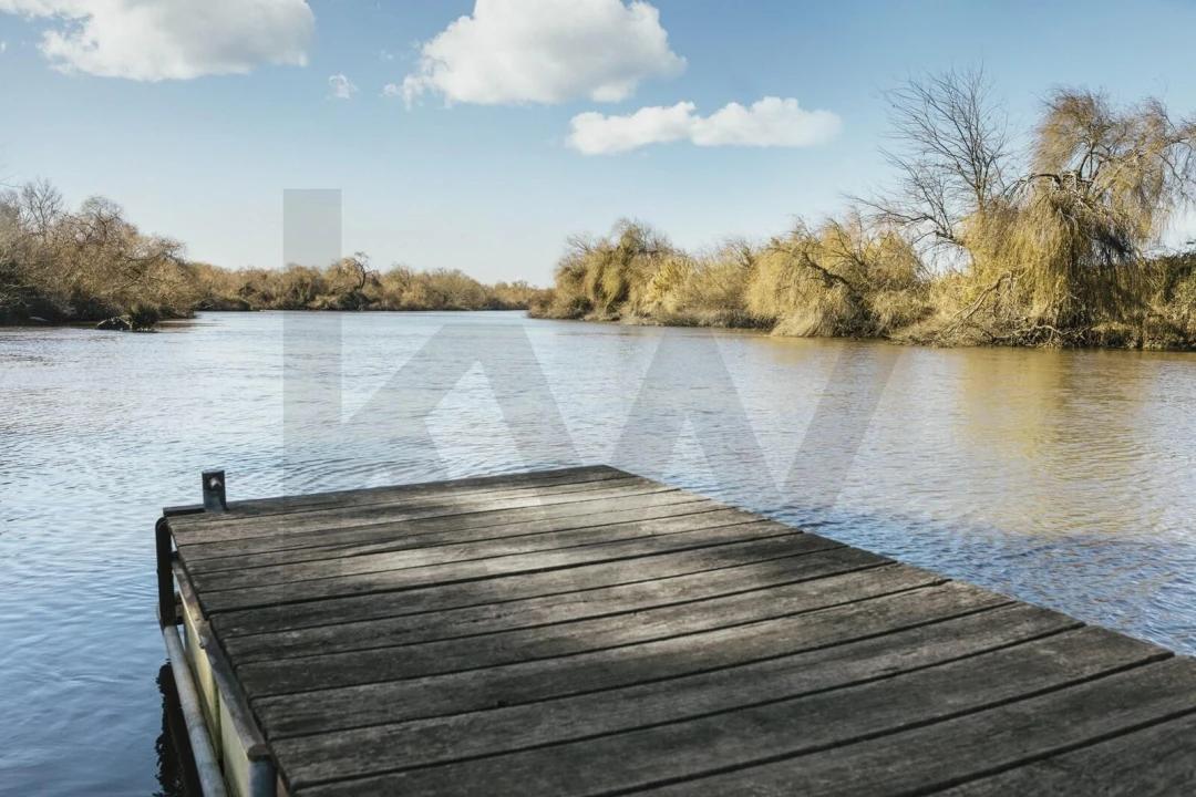 Terreno para Venda em Azambuja Foto 10
