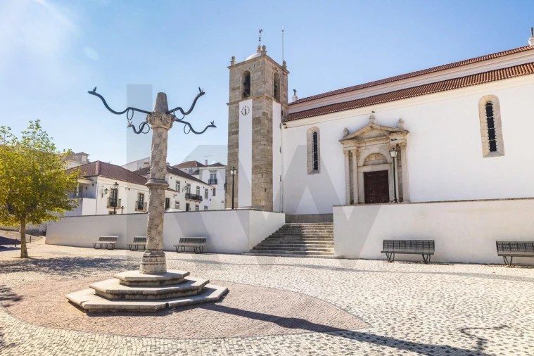Terreno para Venda em Azambuja Foto 9