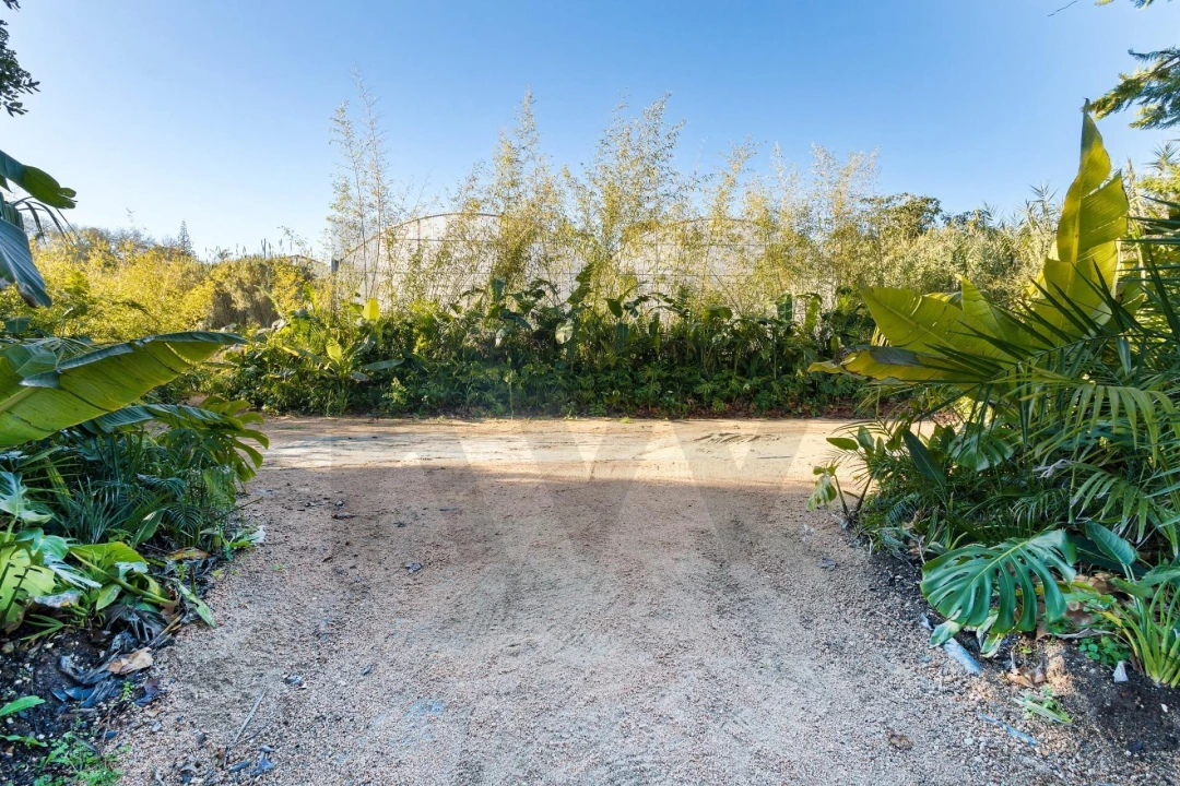 Quinta para Venda em Colares Foto 18