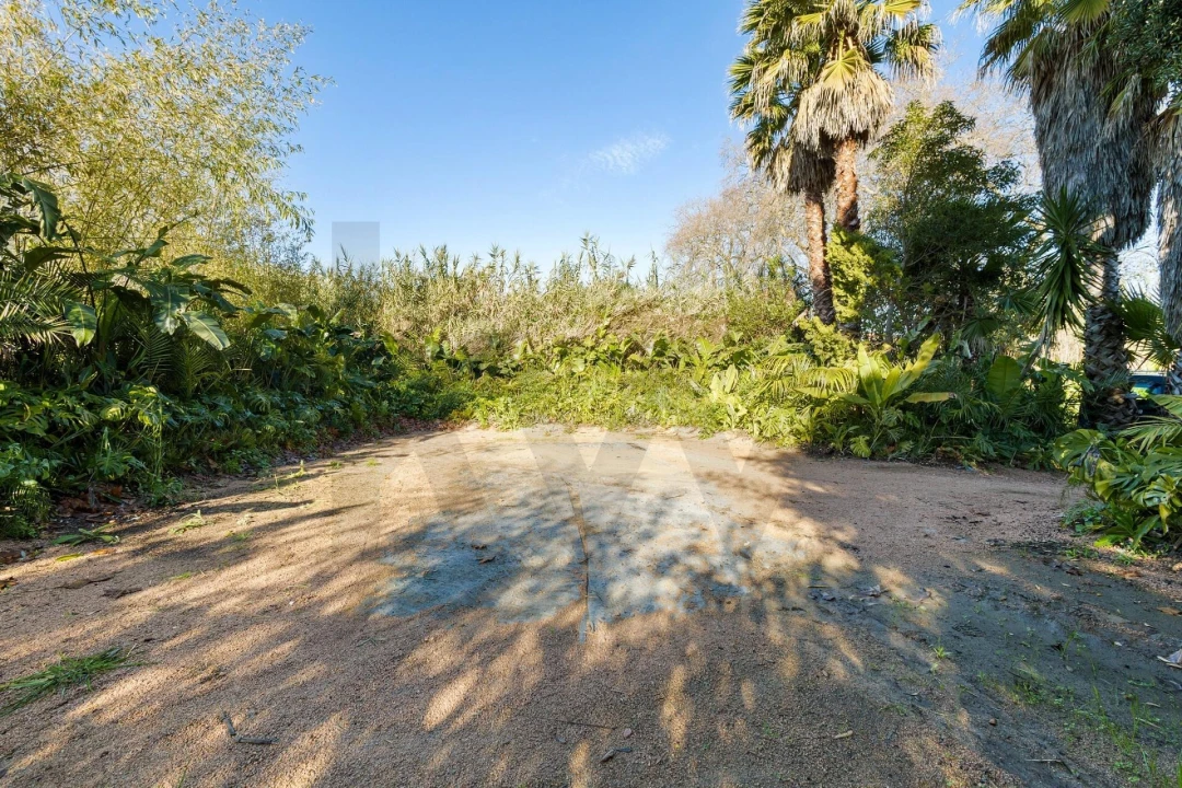 Quinta para Venda em Colares Foto 19