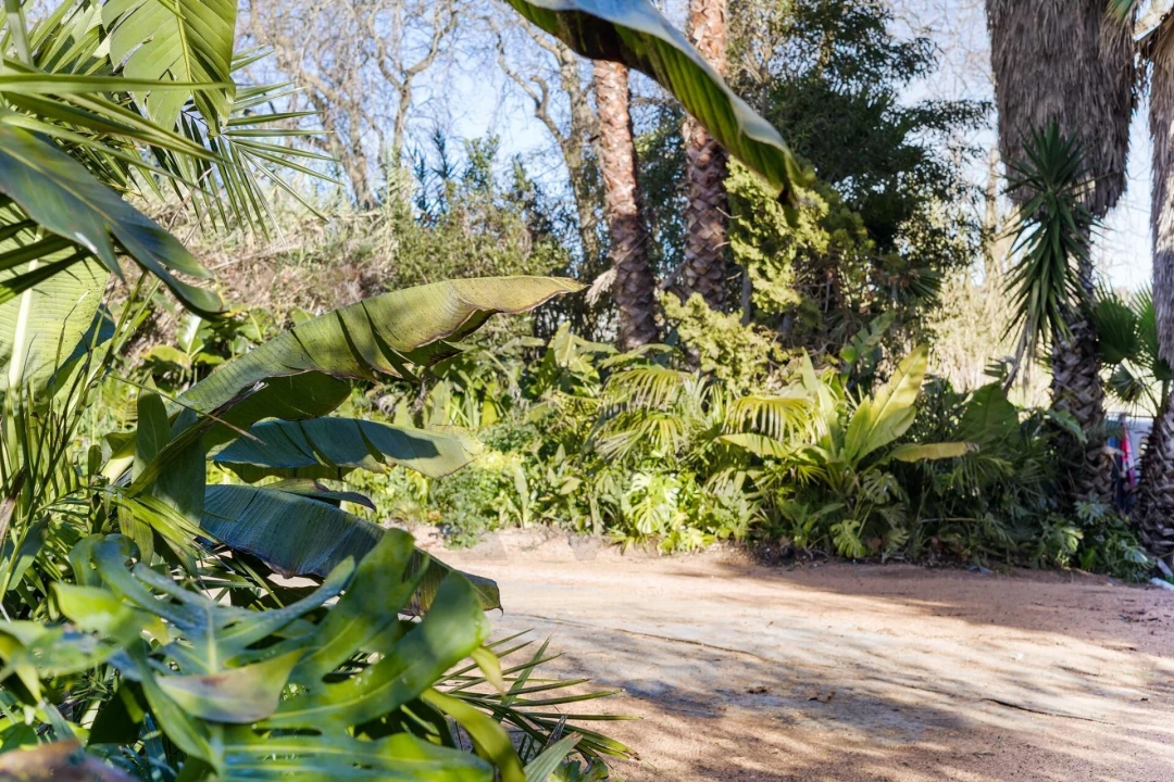 Quinta para Venda em Colares Foto 20