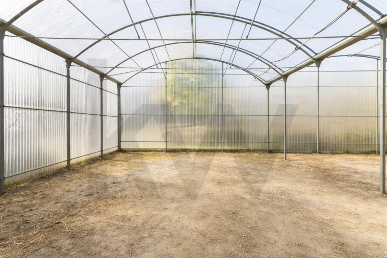 Quinta para Venda em Colares Foto 22