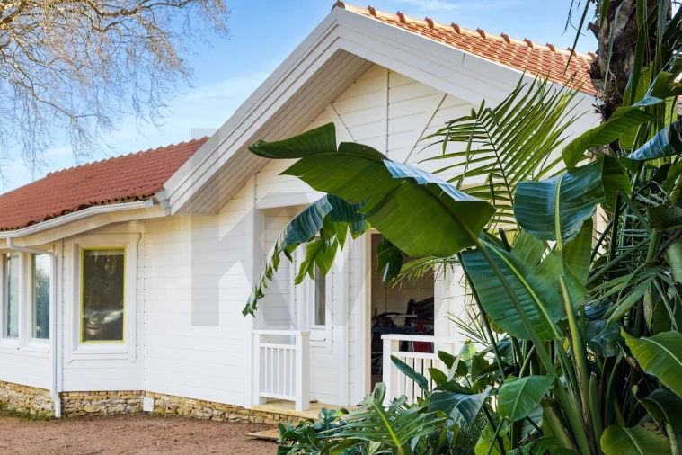 Quinta para Venda em Colares Foto 2