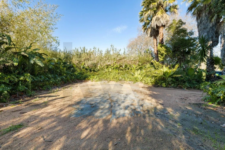 Quinta para Venda em Colares Foto 19