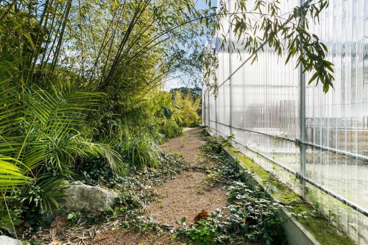 Quinta para Venda em Colares Foto 22