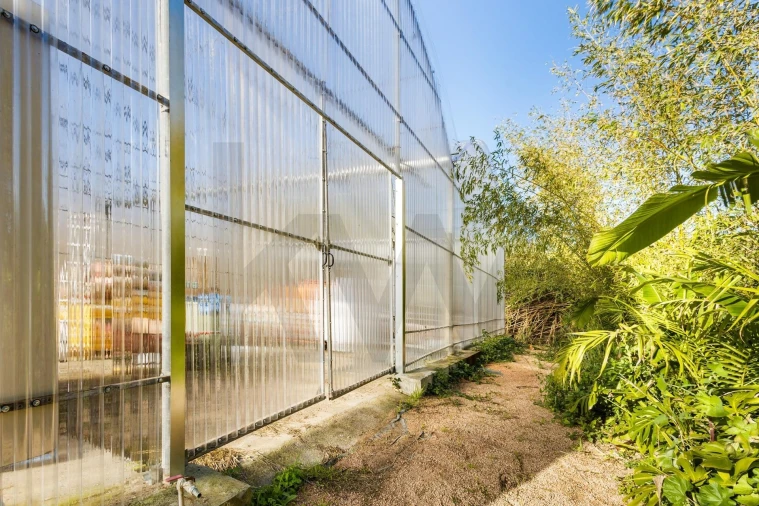 Quinta para Venda em Colares Foto 23