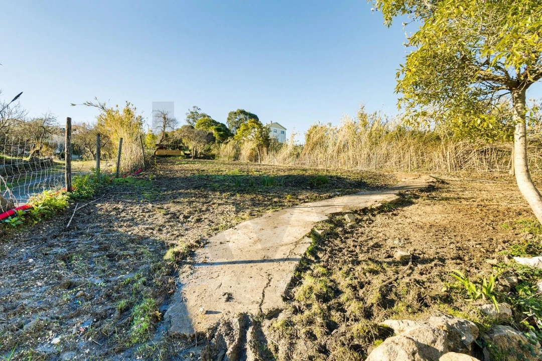 Quinta para Venda em Colares Foto 21