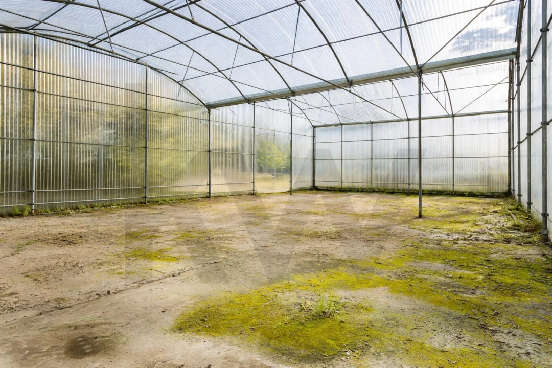 Quinta para Venda em Colares Foto 23