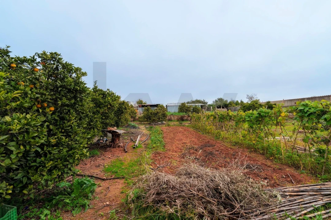 Moradia T2 para Venda em Luz de Tavira e Santo Estêvão Foto 43