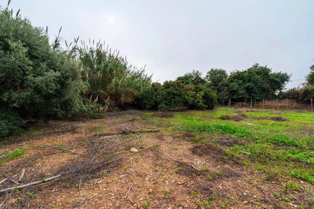 Moradia T2 para Venda em Luz de Tavira e Santo Estêvão Foto 35