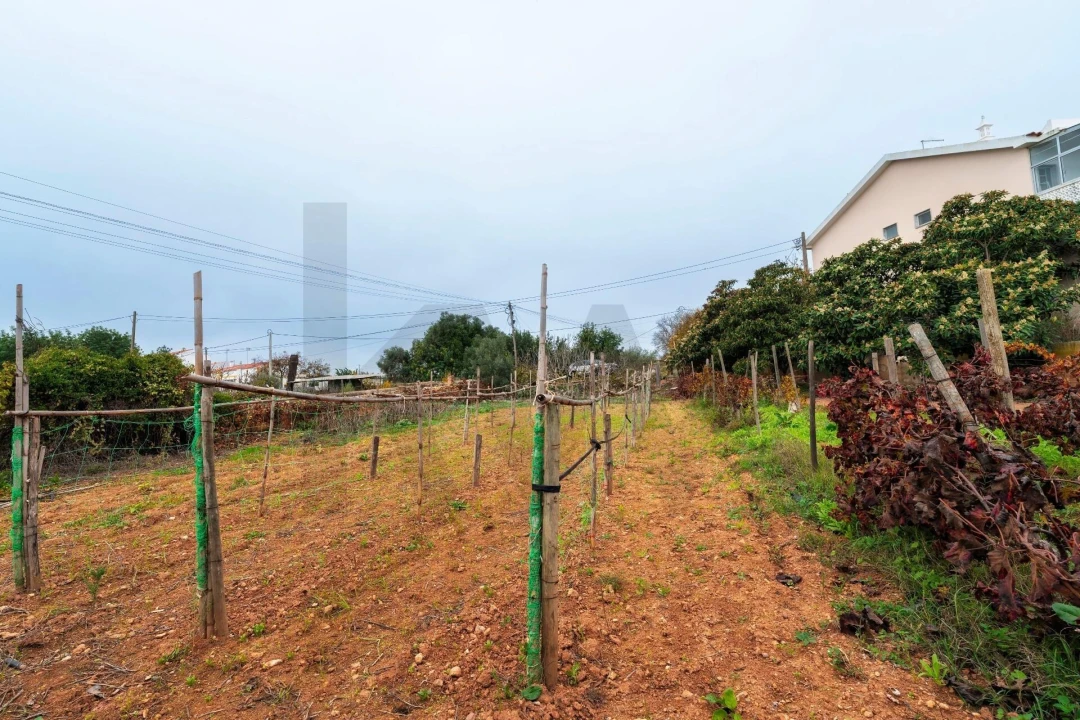 Moradia T2 para Venda em Luz de Tavira e Santo Estêvão Foto 51