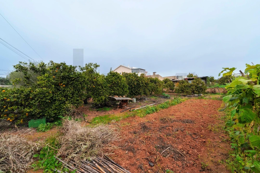 Moradia T2 para Venda em Luz de Tavira e Santo Estêvão Foto 46