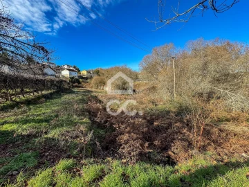 Terreno para Venda em Boa Aldeia, Farminhão e Torredeita