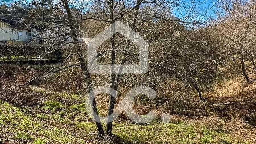 Terreno para Venda em Boa Aldeia, Farminhão e Torredeita