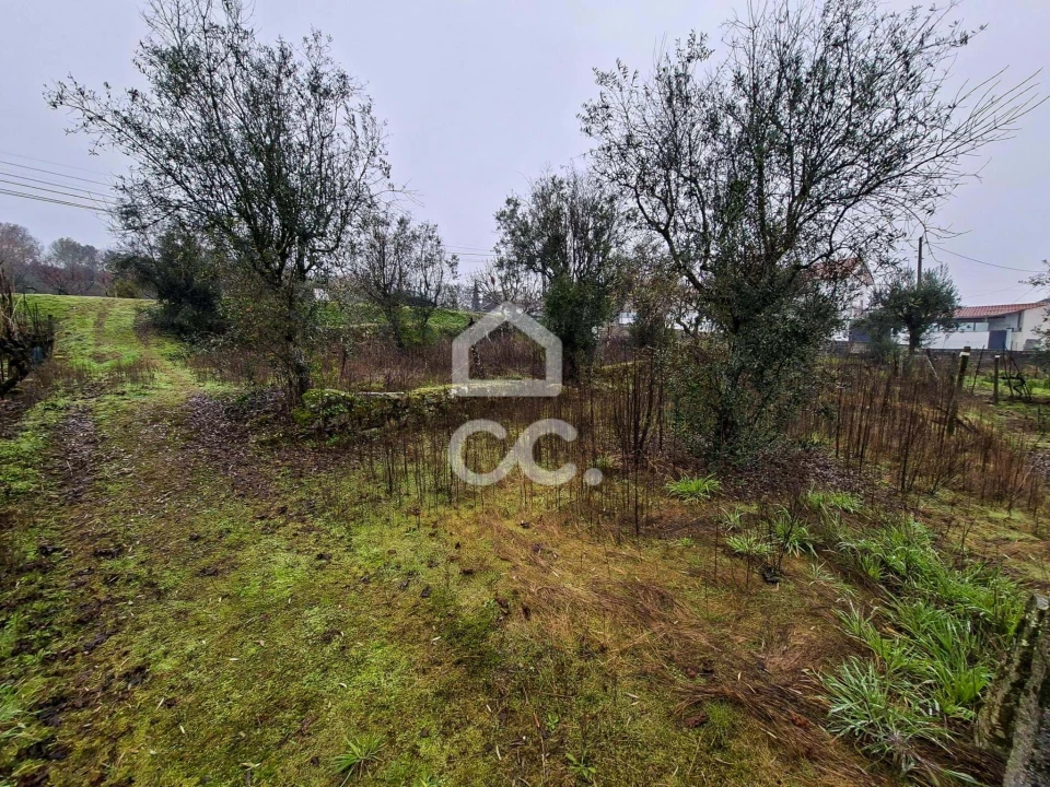 Terreno para Venda em Fragosela Foto 5