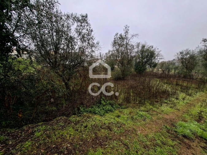 Terreno para Venda em Fragosela Foto 4