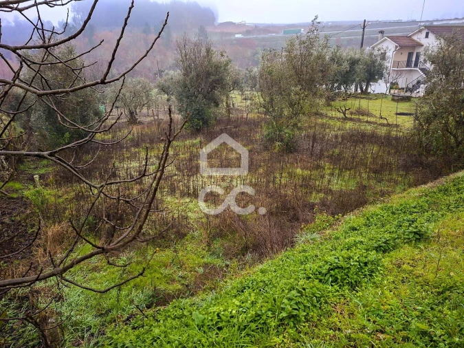 Terreno para Venda em Fragosela Foto 2