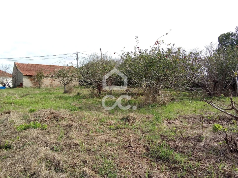 Terreno para Venda em Usseira Foto 6