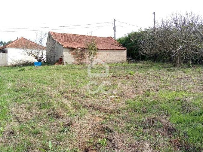 Terreno para Venda em Usseira Foto 5