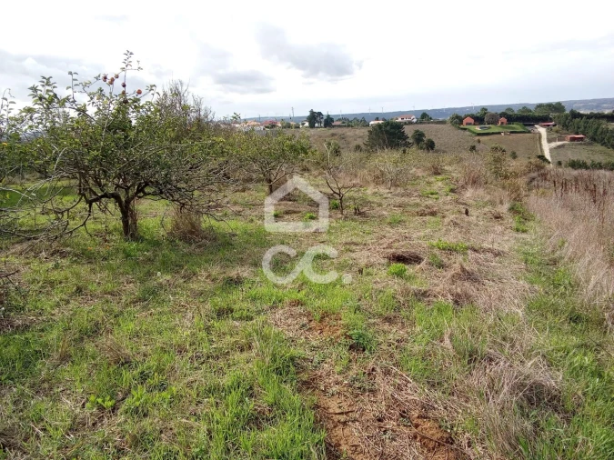 Terreno para Venda em Usseira Foto 7