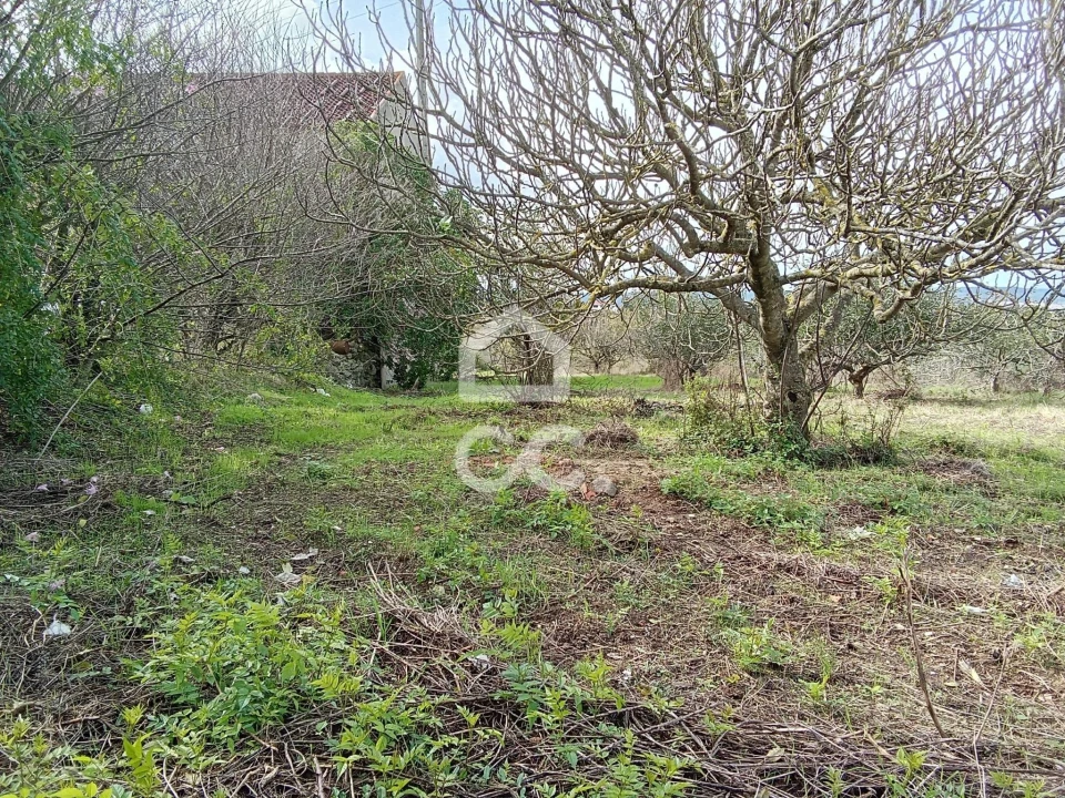 Terreno para Venda em Usseira Foto 10
