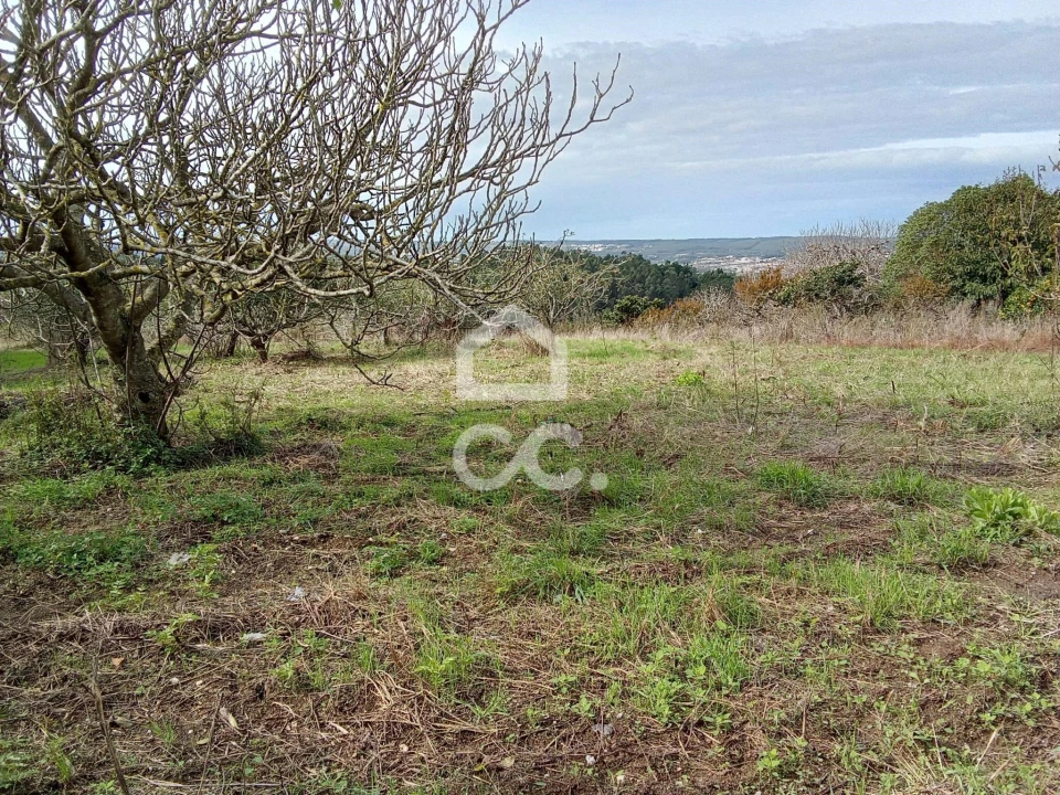 Terreno para Venda em Usseira Foto 8