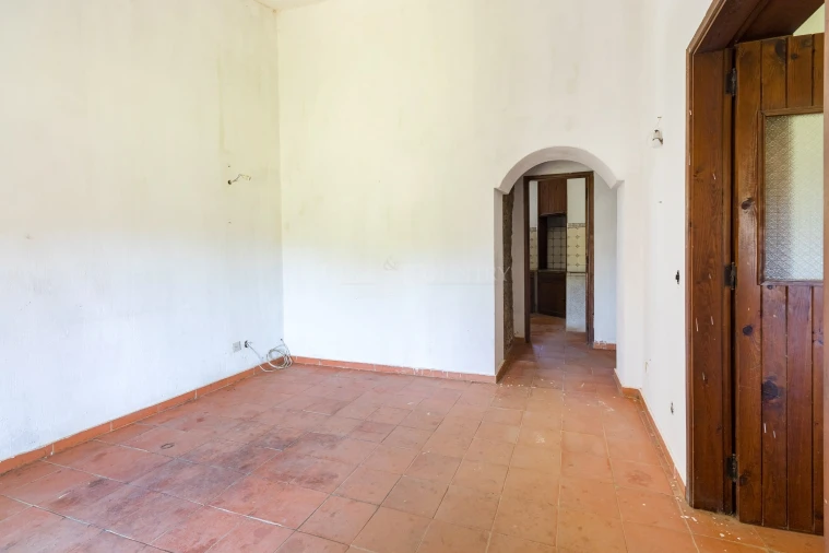 Terreno para Venda em Almancil Foto 17