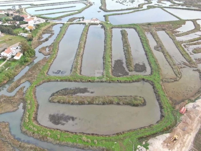 Terreno Agricola ou Rústico para Venda em Gambia-Pontes-Alto da Guerra Foto 2