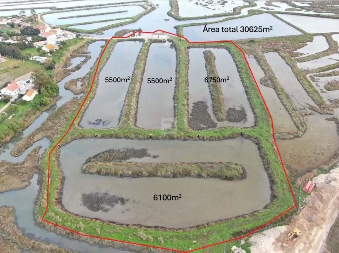 Terreno Agricola ou Rústico para Venda em Gambia-Pontes-Alto da Guerra Foto 3