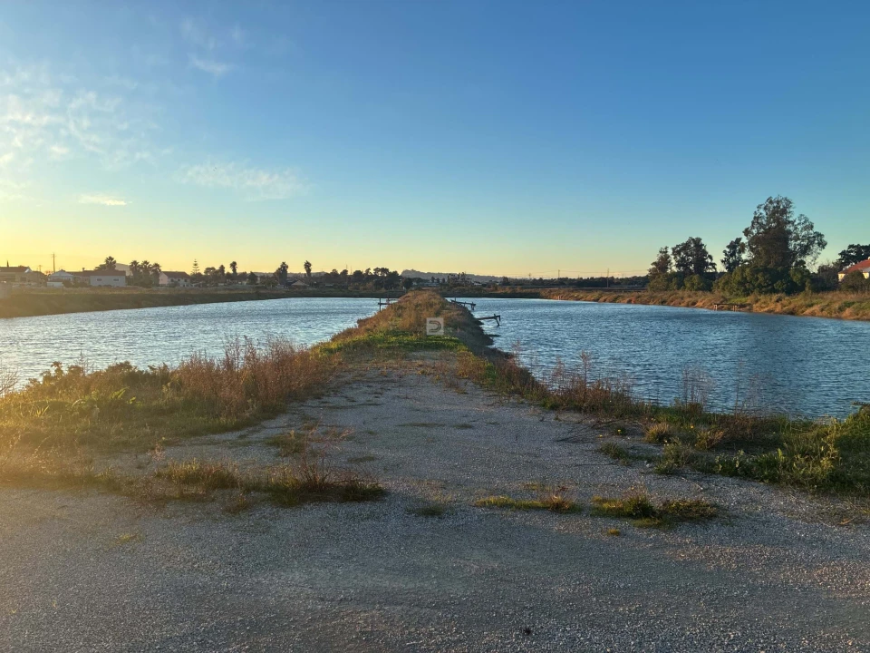 Terreno Agricola ou Rústico para Venda em Gambia-Pontes-Alto da Guerra Foto 9
