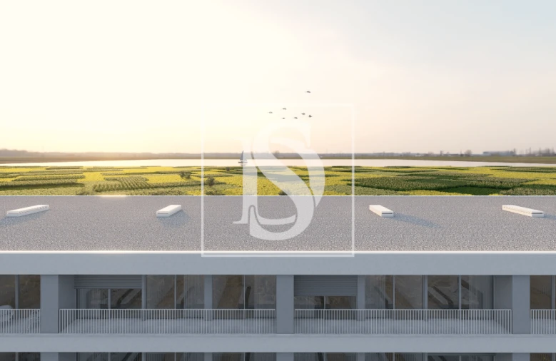 Apartamento T3 para Venda em Darque Foto 26