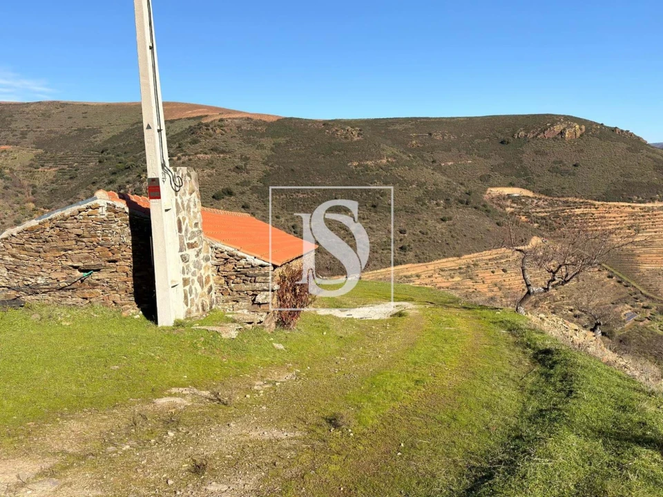 Quinta para Venda em Ligares Foto 11