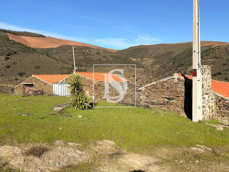 Quinta para Venda em Ligares Foto 7