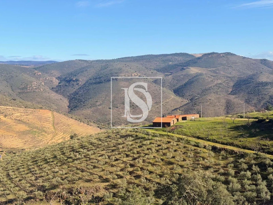 Quinta para Venda em Ligares Foto 31